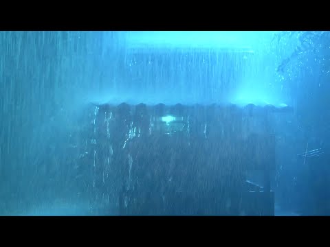 Addio Insonnia per Dormire con Pioggia Fitta e Tuoni Potenti sul Tetto di Metallo nella Foresta