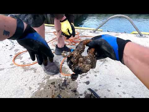 Magnet fiskeri. Tunge fund i Hvide Sande