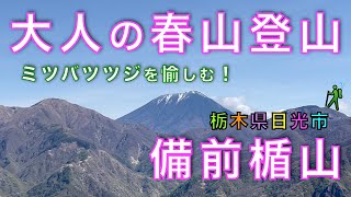 ミツバツツジに癒される備前楯山｜大人だけが知る贅沢な山時間！舟石峠駐車場からスタート！栃木県日光市足尾町【山と音楽　m♪し音】