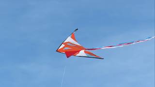 Not my Kite at Hope Cove 20260515