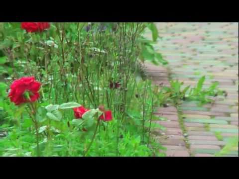 Willa u Teresy w Zakopanem