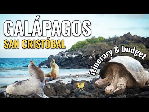 San Cristóbal, Galápagos - Guide to Tours (360°), Animals & Costs
