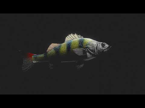 Smog cu Nişă - DETOX [prod. Gogan]