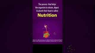 Life processes Full chapter | class 10 Animated video | 10th BIOLOGY | ncert #science | Chapter 7