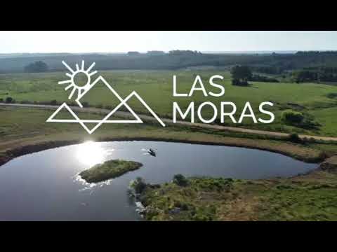 Video de YouTube - Venta de chacras de 5 hectáreas en Lavalleja, cerca de Minas- Las Moras vistas panoramicas