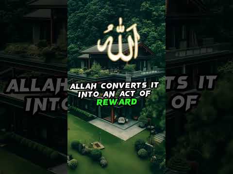 Taqwa |#islamicstatus #quotes #islam #guidance @QuranicReflections4all