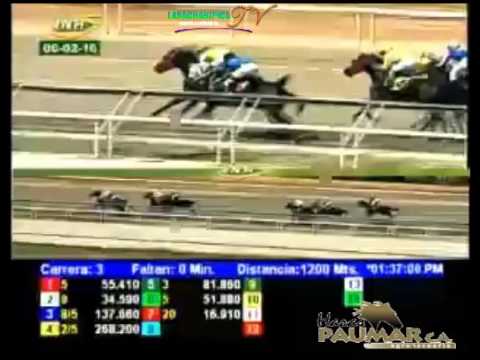 LA RINCONADA 3 CARRERA, SABADO 06 DE FEBRERO DEL 2016