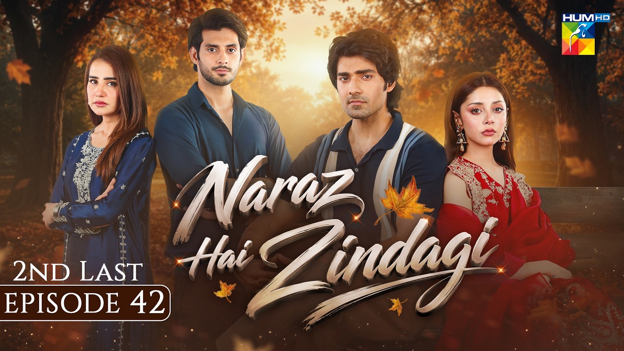 Naraz Hai Zindagi - Mega 2nd Last Episode 42 - 25 Sep 26 [Alizeh Shah, Saniya] HUM TV