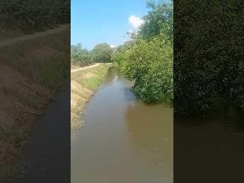 canal de riego aguas de riofrio zona bananera del magdalena