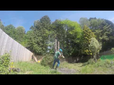 BRW Tree Specialists  video.