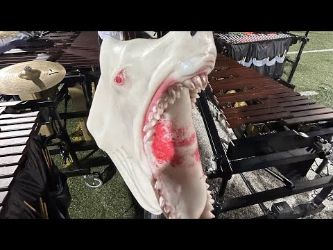 Blue Stars 2023 - In ABSINTHEia - Marimba 3 Headcam