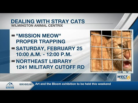 Wilmington Animal Centrix