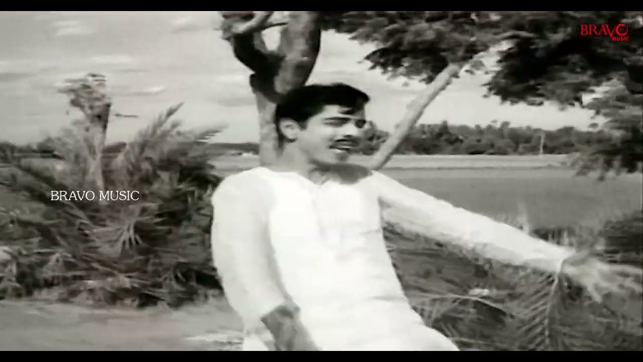 Yaathum Oorada Song Lyrics | Soppu Seeppu Kannadi | T. M. Soundarajan, A. L. Ragavan