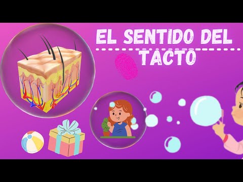 El sentido del tacto - Los 5 sentidos para niños