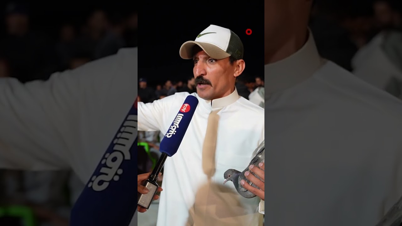 فيديو | بيع طير "قلابي" بـ 16 مليون دينار في مزاد علني بمحافظة البصرة بمشاركة مربي حمام من بعض الدول العربية