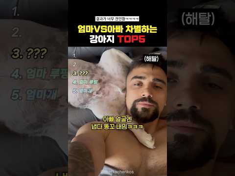 엄마vs아빠 차별하는 강아지Top5#랭킹쇼츠