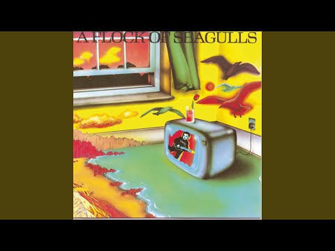 A Flock of Seagulls 2008 - The Very Best of A Flock of Seagulls