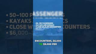 Small Ship vs Mega Cruise Ship: Which Wins? #cruiselife #comparison #travel