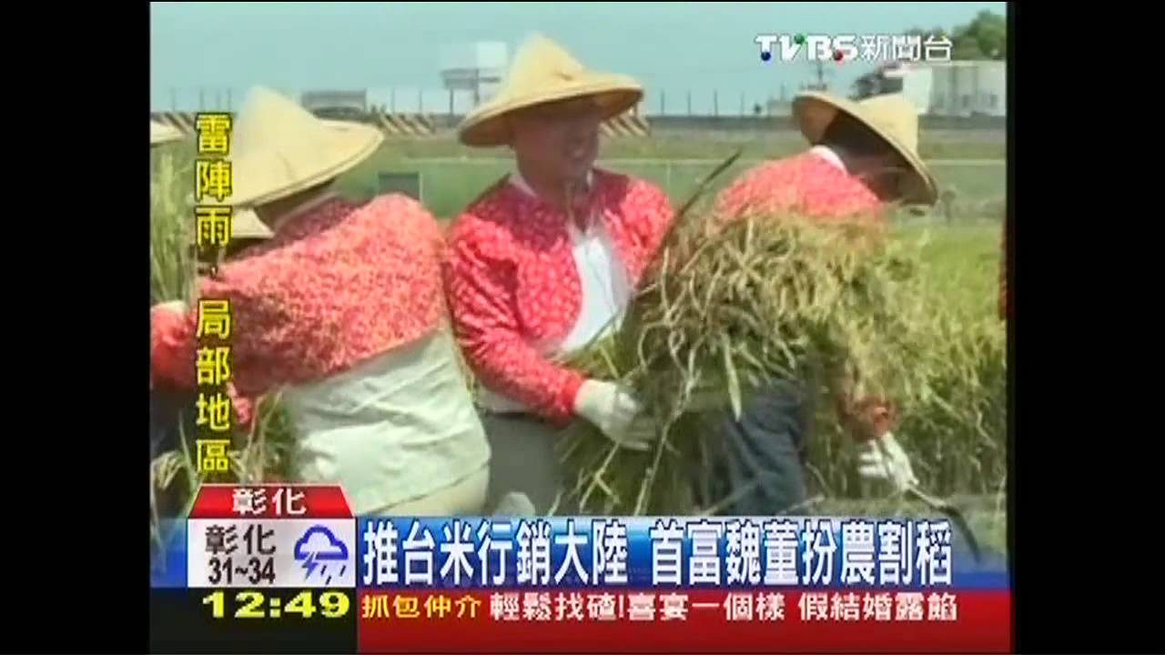 推台米行銷大陸 首富魏董扮農割稻