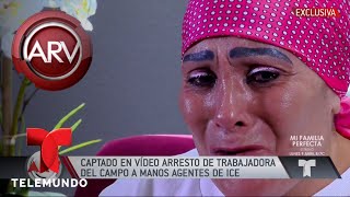 Captan arresto de trabajadora del campo por ICE | Al Rojo Vivo