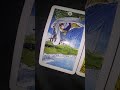 Andrew S Movie Corner You Ve Been Cursed Tarot Style