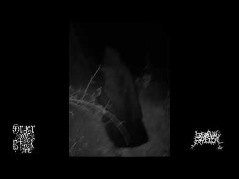 Insomnnia Pálida - Gritos de Dor no Profundo Inferno (full demo, 2019)