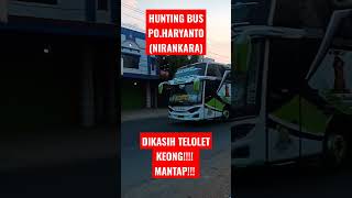 Download lagu MELIHAT BUS PO.HARYANTO NIRANKARA DENGAN KLAKSON KEONG NYA!!!? MANTAP!!! #haryantomania #haryanto mp3