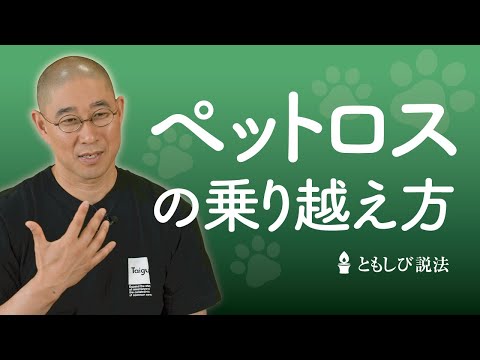 ペットの死を乗り越える