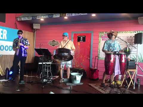 Promotional video thumbnail 22 for Lenny Frisch (GOOD VIBES BAND)