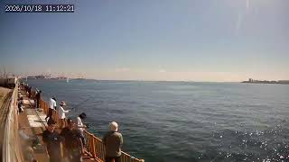 磯子海づり施設 横浜フィッシングピアーズ
