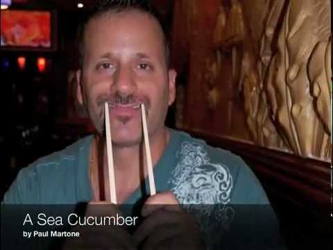 Sea Cucumber with Paul Martone