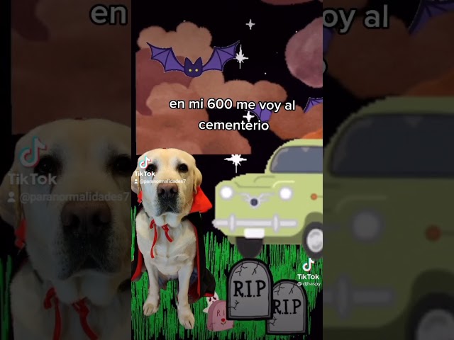 Vídeo relacionado con FIESTAS GUIRCA Disfraz de Wooferatu El Perro Vampiro - Disfraz Halloween Perro Talla S
