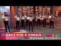 Mariachi Juvenil Teotihuacán / EL SAUCE Y LA PALMA