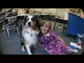 Martha Speaks Who S That Dog Rugby