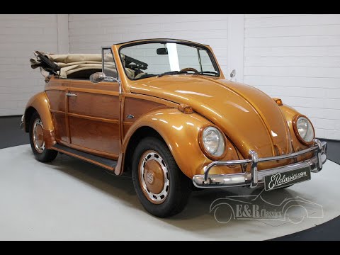 1966 Volkswagen Beetle (CC-1420577) for sale in Waalwijk, Noord-Brabant