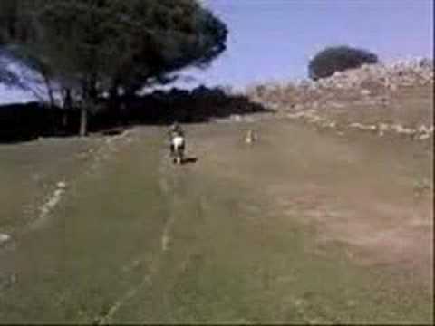 Piazza armerina,la star