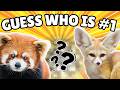 10 CUTEST Animals Preschool Learning Video For Kids Animal Videos For Kids