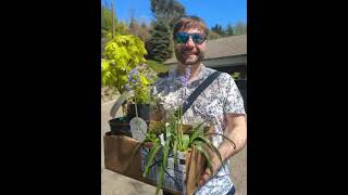 Albers Marcovina Vista Gardens, Bremerton, WA アルバース・マルコビナ・ビスタ・ガーデンズ