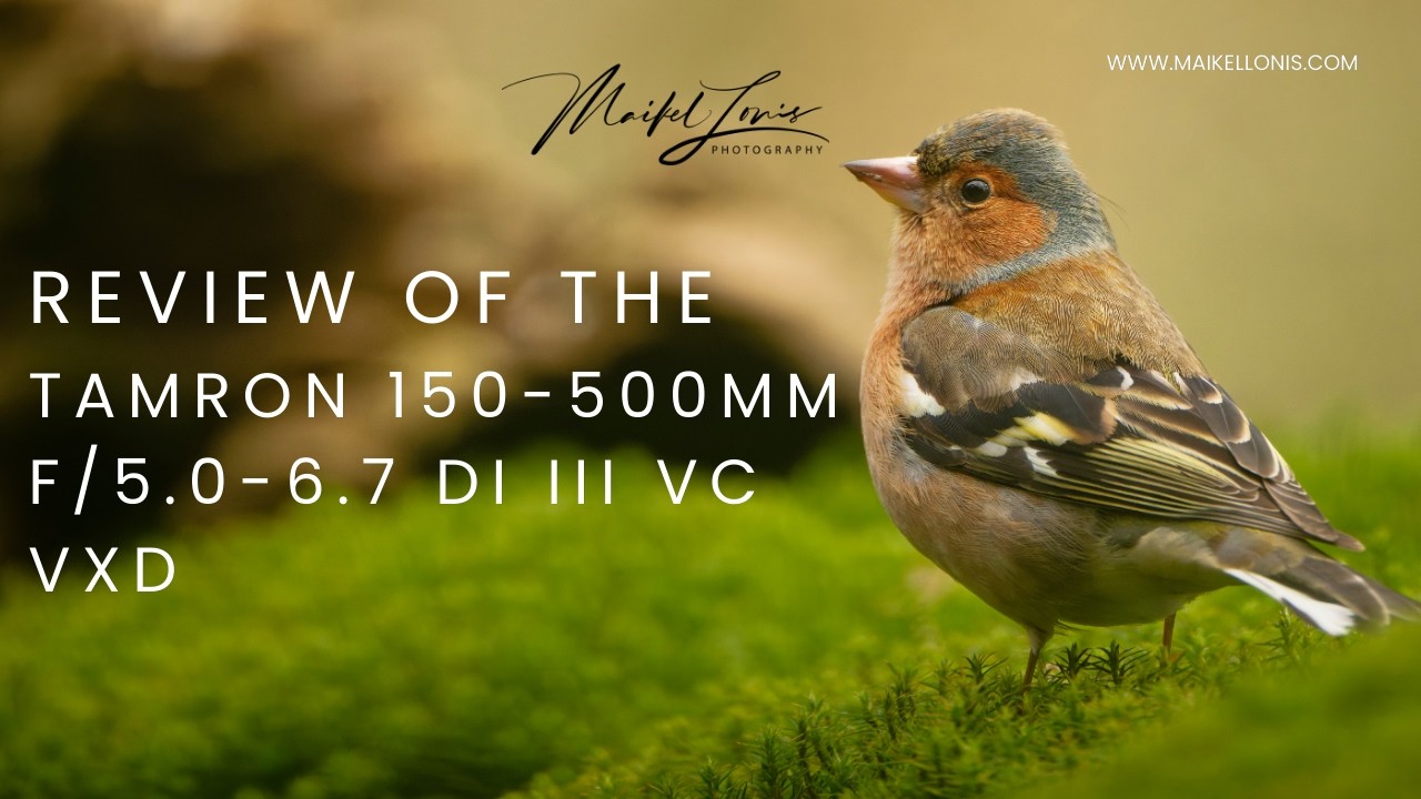 Tamron 150-500mm f/5-6.7 Review — Relatively Affordable, Surprisingly Powerful