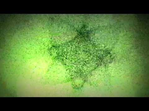 Zota Layer - Auric  (remove old-age deposits from the brain)