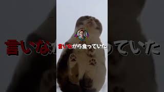【2ch伝説】正義マン「やめろ！」→勘違いして無関係の人殴るｗｗ