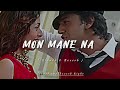 Mon Mane Na Titel Track মন মানে না ️ LoFi Song Slowed And Reverb Song
