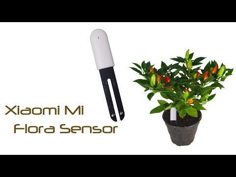 Xiaomi Mi Flora Sensor (plantensensor)