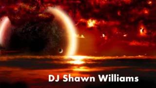 Shawn Williams - I'm Not Alone
