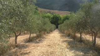 che-morte-solitaria-e-atroce-in-quel-dirupo