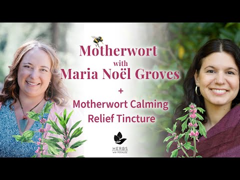 , title : 'Motherwort Benefits with Maria Noël Groves + Motherwort Tincture Recipe'