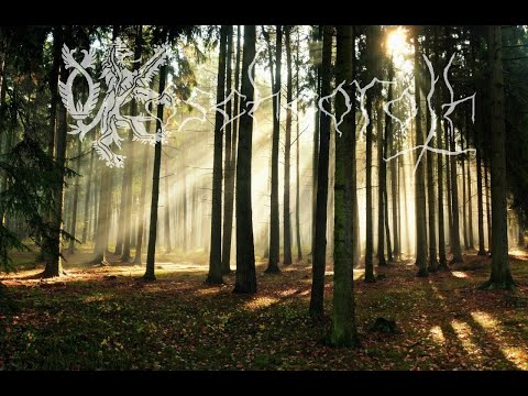 Koschcoroth - Koschcoroth - strážkyně Žehrovských lesů