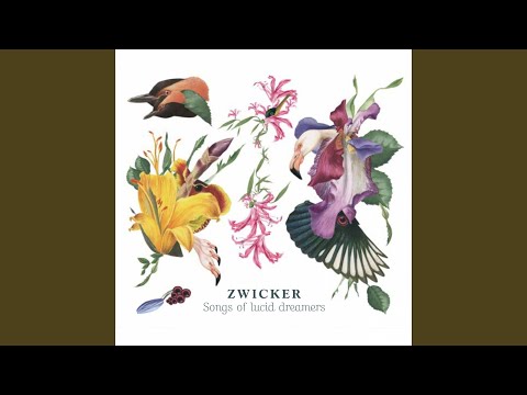 Oddity (feat. Olivera Stanimirov)