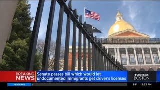Senate Passes Bill Which Would Let Undocumented Immigrants Get Driver