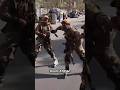 Afghanistan Forces New Attitude Status Shorts Afghanistan Viral